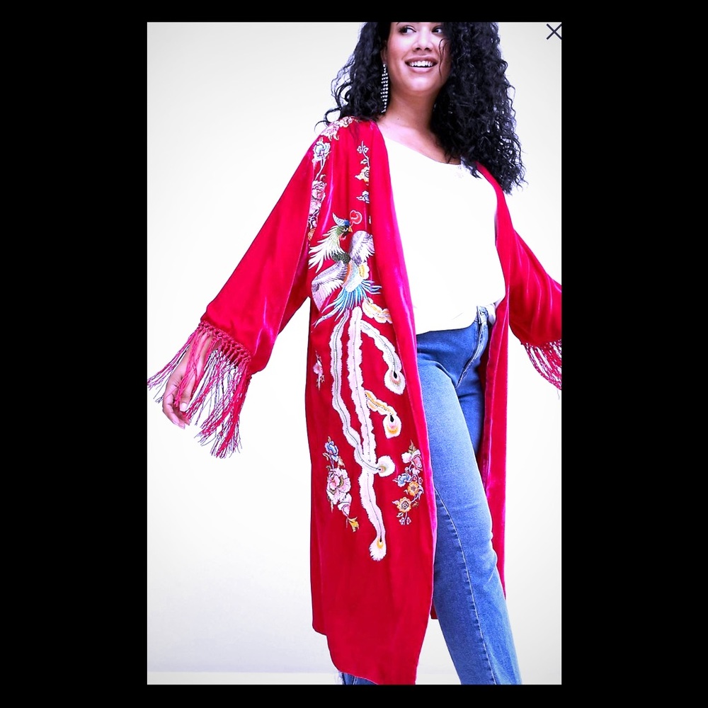 EUC-ASOS Curve Velvet Embroidered Kimono w/ Fringe